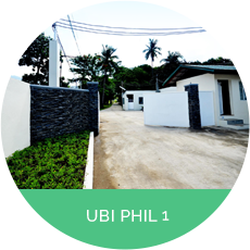 UBASE  Phil 1